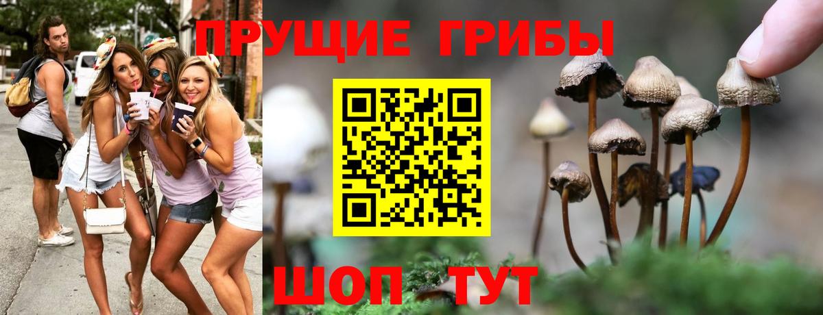 Галлюциногенные грибы Magic Shrooms Обь